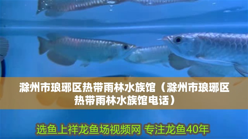 滁州市瑯琊區熱帶雨林水族館（滁州市瑯琊區熱帶雨林水族館電話）