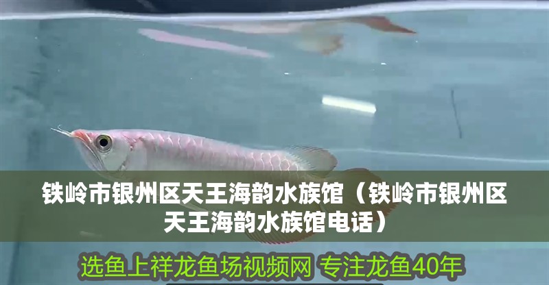 鐵嶺市銀州區(qū)天王海韻水族館（鐵嶺市銀州區(qū)天王海韻水族館電話(huà)）