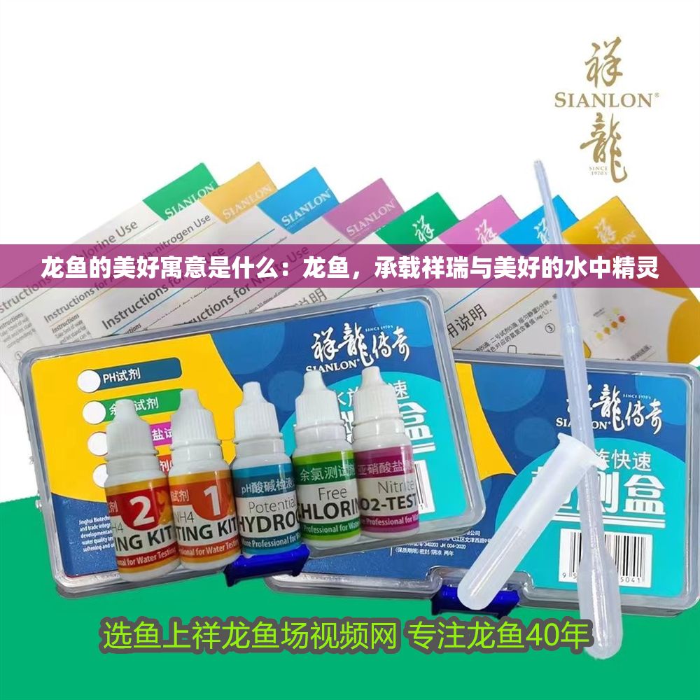 龍魚的美好寓意是什么：龍魚，承載祥瑞與美好的水中精靈
