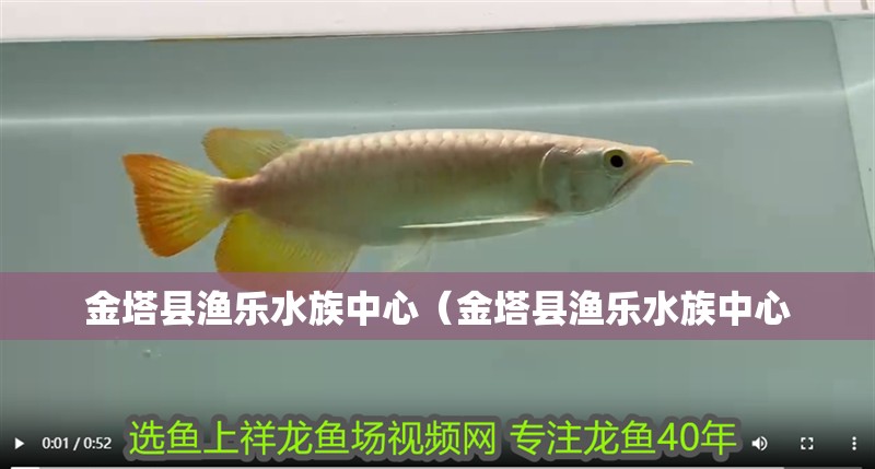 金塔縣漁樂水族中心（金塔縣漁樂水族中心