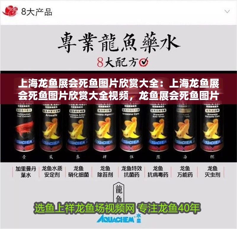 上海龍魚展會死魚圖片欣賞大全：上海龍魚展會死魚圖片欣賞大全視頻，龍魚展會死魚圖片及視頻合