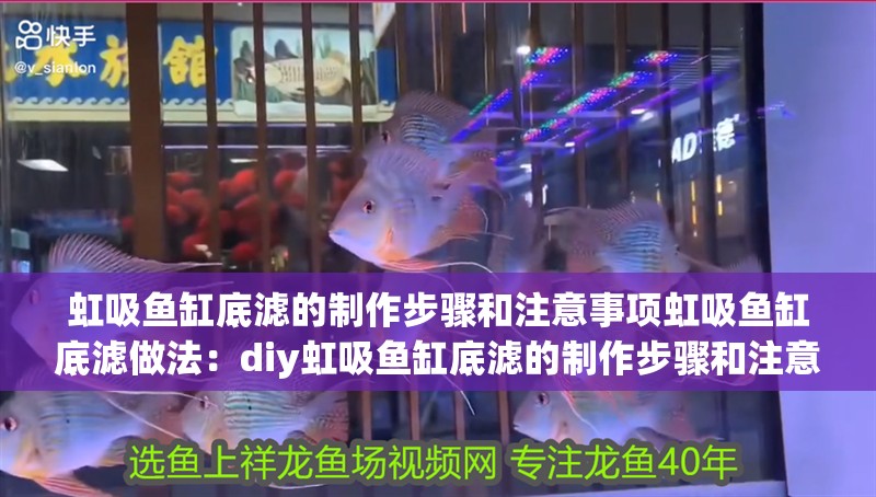 虹吸魚缸底濾的制作步驟和注意事項虹吸魚缸底濾做法：diy虹吸魚缸底濾的制作步驟和注意事項