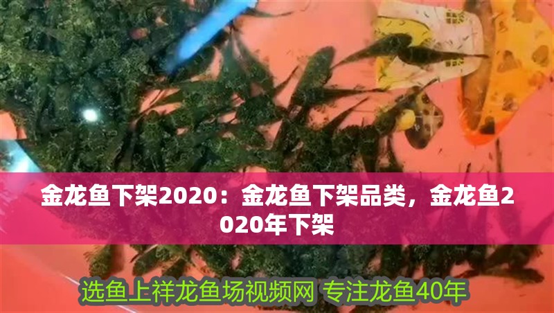 金龍魚下架2020：金龍魚下架品類，金龍魚2020年下架