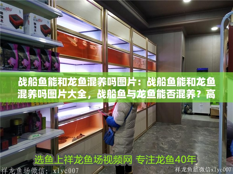 戰(zhàn)船魚能和龍魚混養(yǎng)嗎圖片：戰(zhàn)船魚能和龍魚混養(yǎng)嗎圖片大全，戰(zhàn)船魚與龍魚能否混養(yǎng)？高清圖片全解析