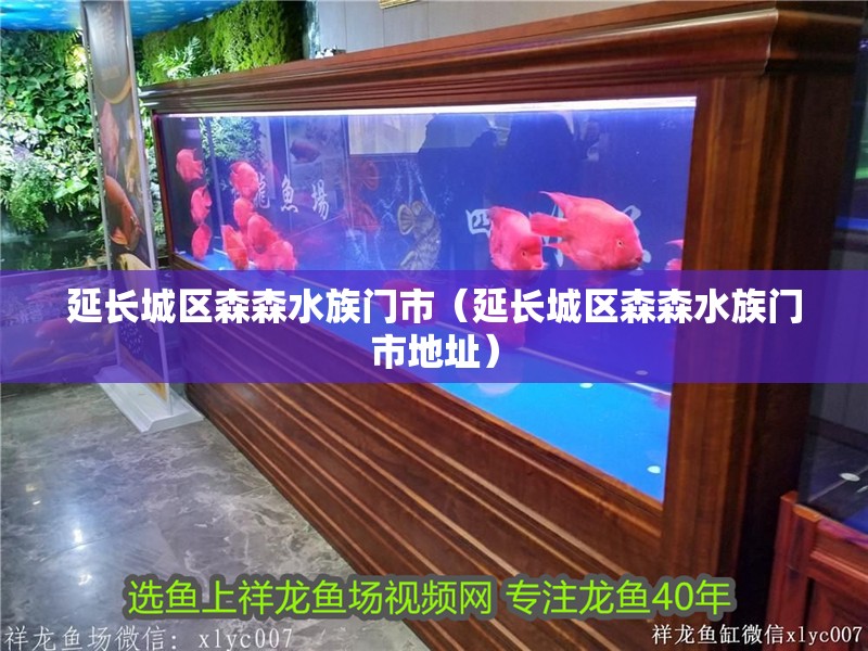 延長城區森森水族門市（延長城區森森水族門市地址） 延長城區森森水族門市（延長城區森森水族門市地址） 全國水族館企業名錄 第2張