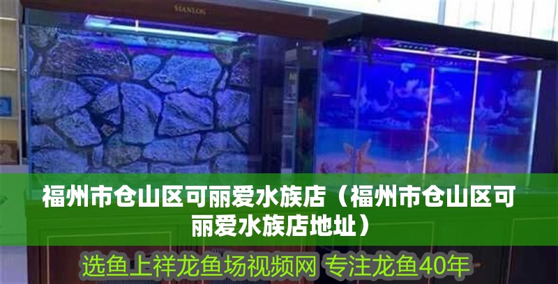 福州市倉山區可麗愛水族店（福州市倉山區可麗愛水族店地址）