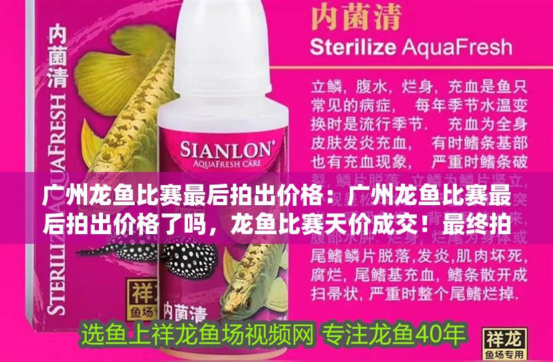 廣州龍魚(yú)比賽最后拍出價(jià)格：廣州龍魚(yú)比賽最后拍出價(jià)格了嗎，龍魚(yú)比賽天價(jià)成交！最終拍