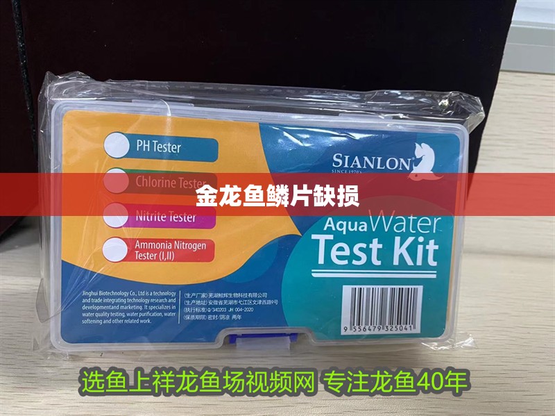 金龍魚鱗片缺損