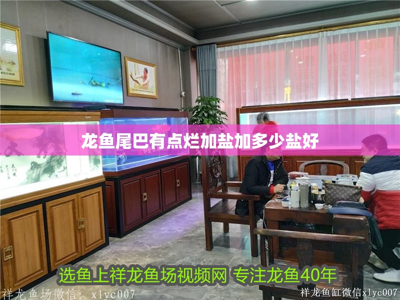 龍魚尾巴有點爛加鹽加多少鹽好