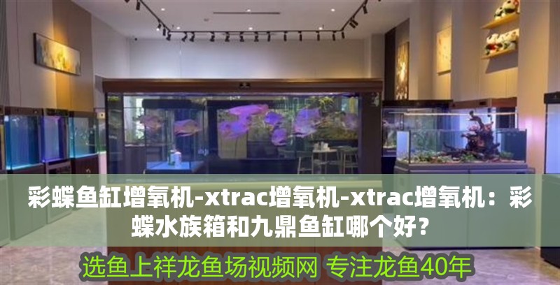 彩蝶魚缸增氧機-xtrac增氧機-xtrac增氧機：彩蝶水族箱和九鼎魚缸哪個好？