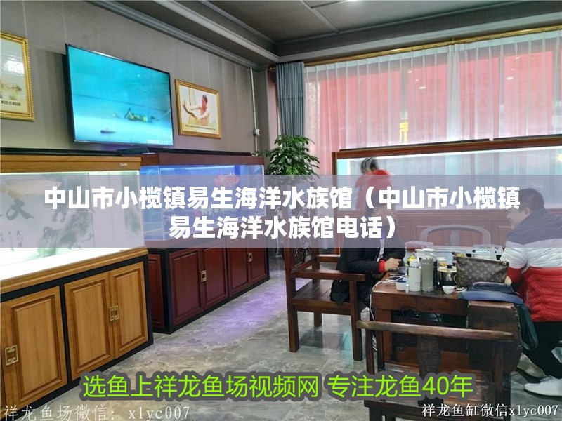 中山市小欖鎮(zhèn)易生海洋水族館（中山市小欖鎮(zhèn)易生海洋水族館電話）