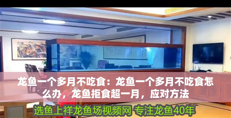 龍魚一個多月不吃食：龍魚一個多月不吃食怎么辦，龍魚拒食超一月，應對方法
