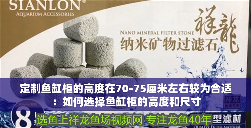 定制魚缸柜的高度在70-75厘米左右較為合適：如何選擇魚缸柜的高度和尺寸