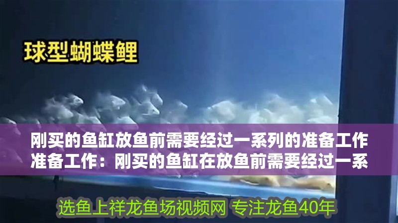 龍魚干蝦有營養嗎 剛買的魚缸放魚前需要經過一系列的準備工作準備工作:剛買的魚缸在放魚前需要經過一系列的準備工作 魚缸百科 剛買的魚缸放魚前需要經過一系列的準備工作準備工作:剛買的魚缸在放魚前需要經過一系列的準備工作 剛買的魚缸放魚前需要經過一系列的準備工作準備工作:剛買的魚缸在放魚前需要經過一系列的準備工作 魚缸百科