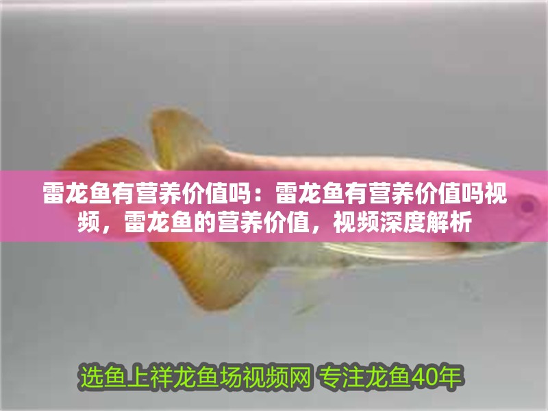 雷龍魚有營養價值嗎：雷龍魚有營養價值嗎視頻，雷龍魚的營養價值，視頻深度解析