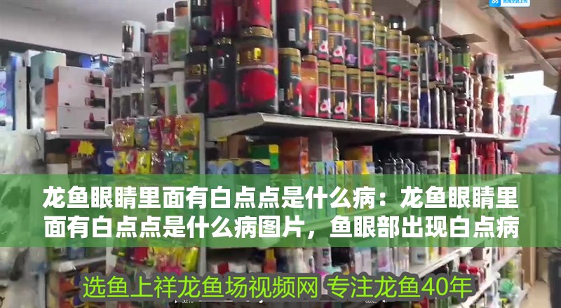 龍魚眼睛里面有白點(diǎn)點(diǎn)是什么病：龍魚眼睛里面有白點(diǎn)點(diǎn)是什么病圖片，魚眼部出現(xiàn)白點(diǎn)病癥解析及圖