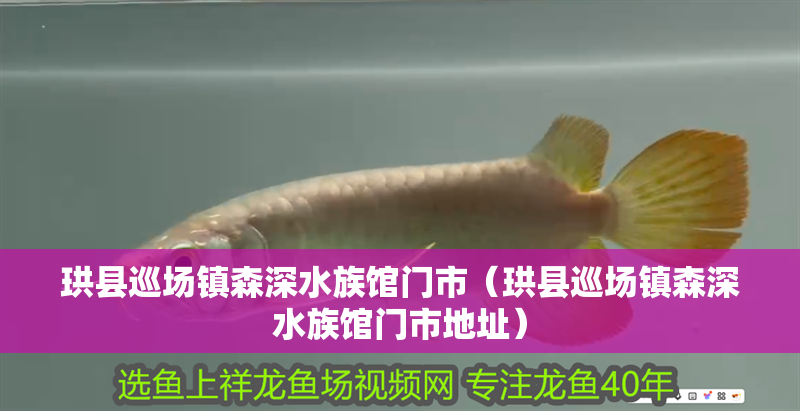 珙縣巡場鎮森深水族館門市（珙縣巡場鎮森深水族館門市地址）