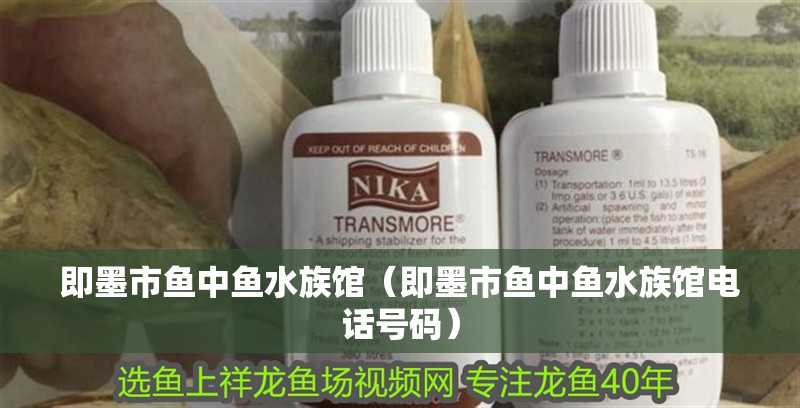 即墨市魚中魚水族館（即墨市魚中魚水族館電話號碼）