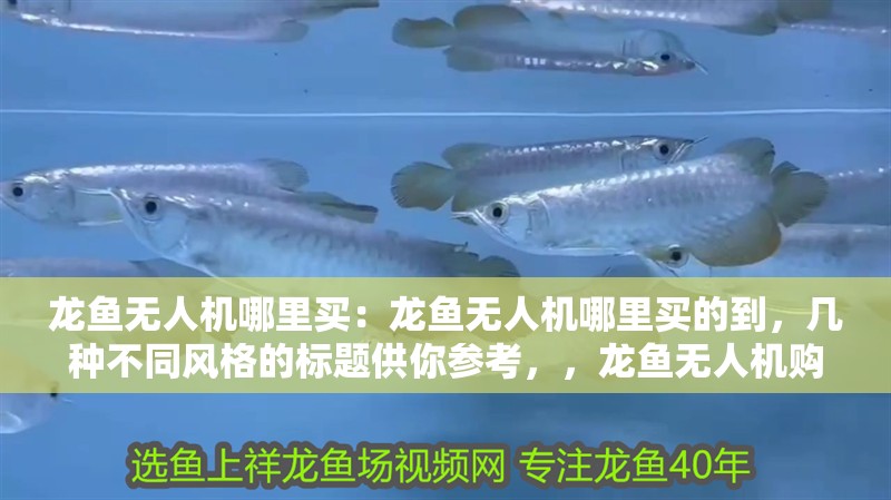龍魚無人機哪里買：龍魚無人機哪里買的到，幾種不同風格的標題供你參考，，龍魚無人機購買渠道大揭秘，探尋龍魚無人機的購買之所，龍魚無人機究竟在哪能買到 龍魚無人機哪里買：龍魚無人機哪里買的到，幾種不同風格的標題供你參考，，龍魚無人機購買渠道大揭秘，探尋龍魚無人機的購買之所，龍魚無人機究竟在哪能買到 水族問答