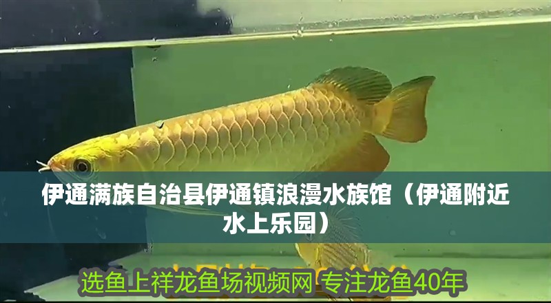 伊通滿族自治縣伊通鎮浪漫水族館（伊通附近水上樂園）