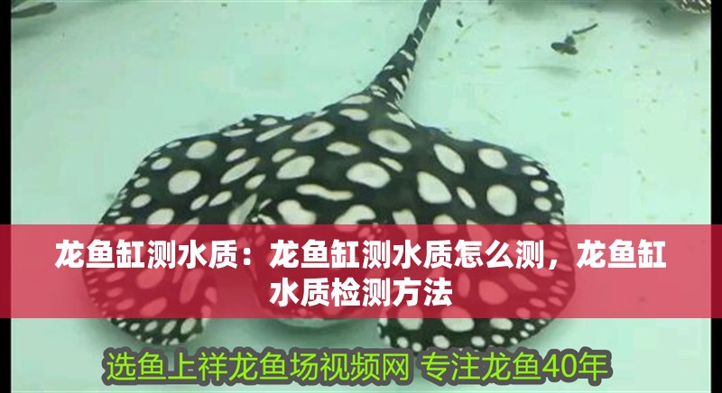 龍魚缸測水質：龍魚缸測水質怎么測，龍魚缸水質檢測方法
