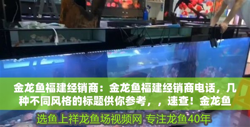 金龍魚福建經銷商：金龍魚福建經銷商電話，幾種不同風格的標題供你參考，，速查！金龍魚福建經銷商電話全公開，一鍵獲取，金龍魚福建經銷商聯系電話，重磅揭秘，金龍魚福建經銷商