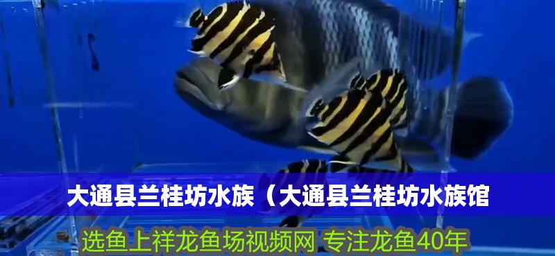 大通縣蘭桂坊水族（大通縣蘭桂坊水族館