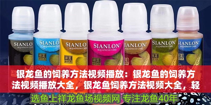 銀龍魚的飼養(yǎng)方法視頻播放：銀龍魚的飼養(yǎng)方法視頻播放大全，銀龍魚飼養(yǎng)方法視頻大全，輕松