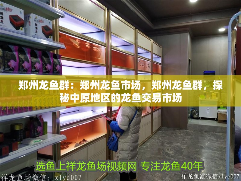 鄭州龍魚群:鄭州龍魚市場,鄭州龍魚群,探秘中原地區的龍魚交易市場 水族問答 鄭州龍魚群:鄭州龍魚市場,鄭州龍魚群,探秘中原地區的龍魚交易市場 鄭州龍魚群:鄭州龍魚市場,鄭州龍魚群,探秘中原地區的龍魚交易市場 水族問答