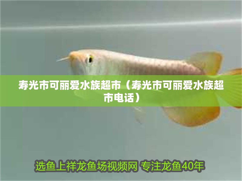 壽光市可麗愛水族超市（壽光市可麗愛水族超市電話）