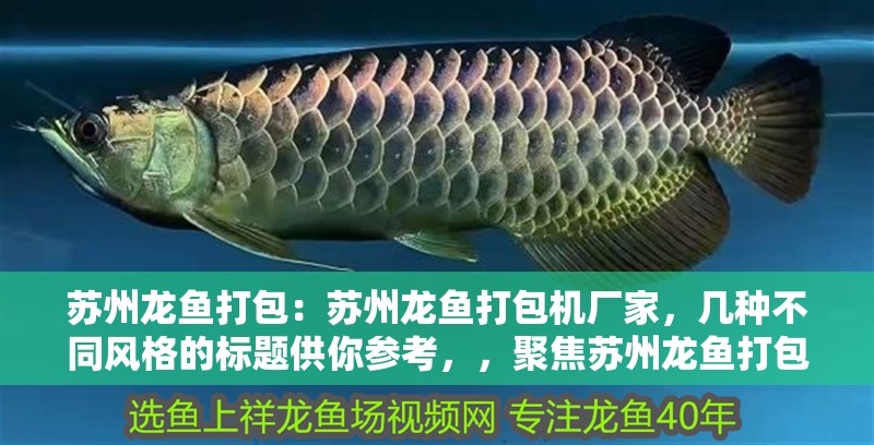 蘇州龍魚打包：蘇州龍魚打包機廠家，幾種不同風格的標題供你參考，，聚焦蘇州龍魚打包，直擊專業廠家風采，蘇州龍魚打包機廠家，品質之選在此！，探秘蘇州龍魚打包領域