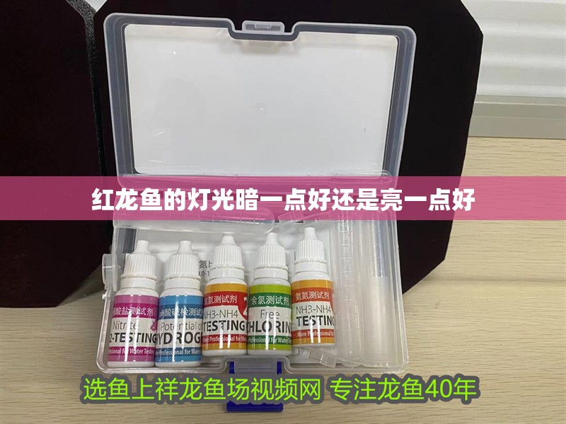 紅龍魚的燈光暗一點好還是亮一點好