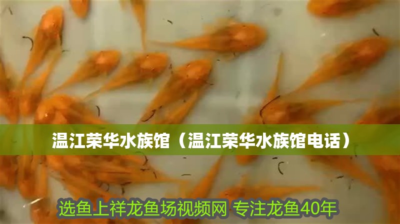 溫江榮華水族館（溫江榮華水族館電話）