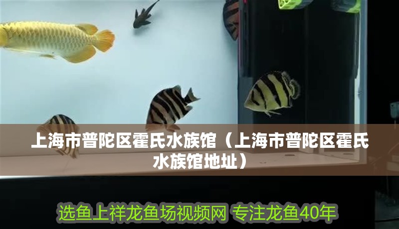 上海市普陀區霍氏水族館（上海市普陀區霍氏水族館地址）