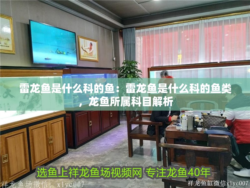 雷龍魚是什么科的魚：雷龍魚是什么科的魚類，龍魚所屬科目解析