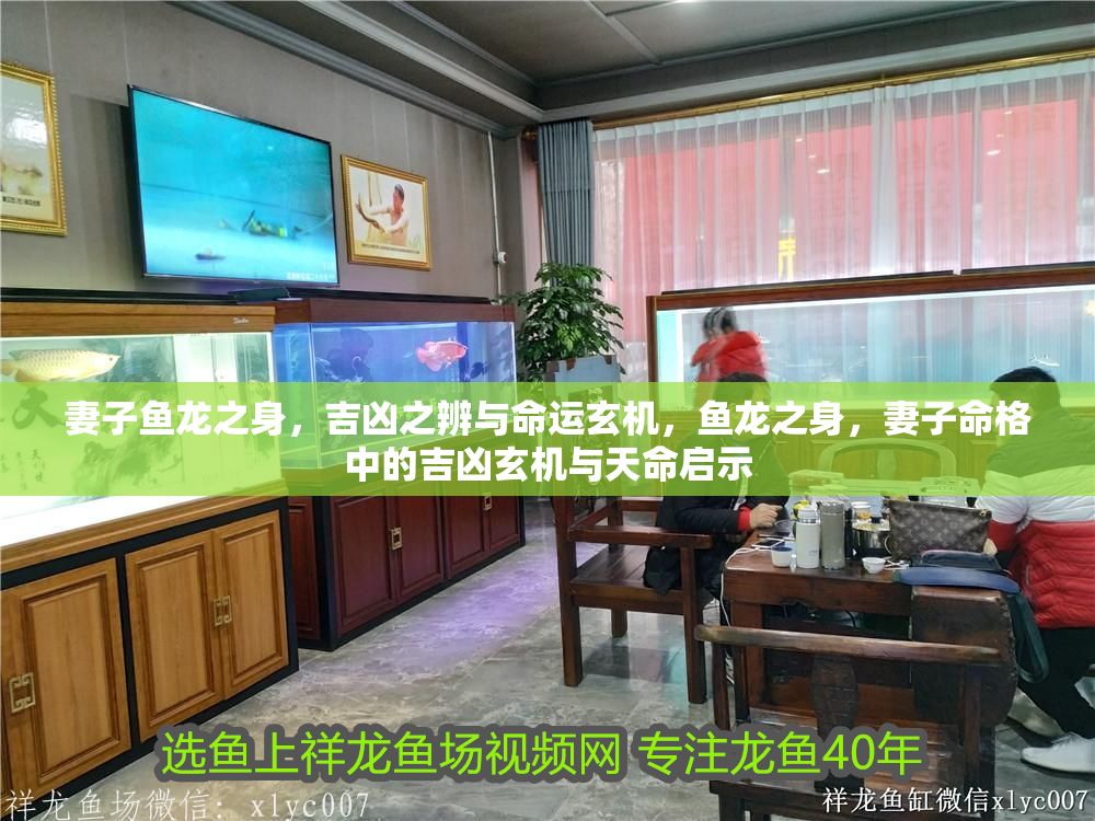 詳細閱讀:妻子魚龍之身,吉兇之辨與命運玄機,魚龍之身,妻子命格中的吉兇玄機與天命啟示 妻子魚龍之身,吉兇之辨與命運玄機,魚龍之身,妻子命格中的吉兇玄機與天命啟示