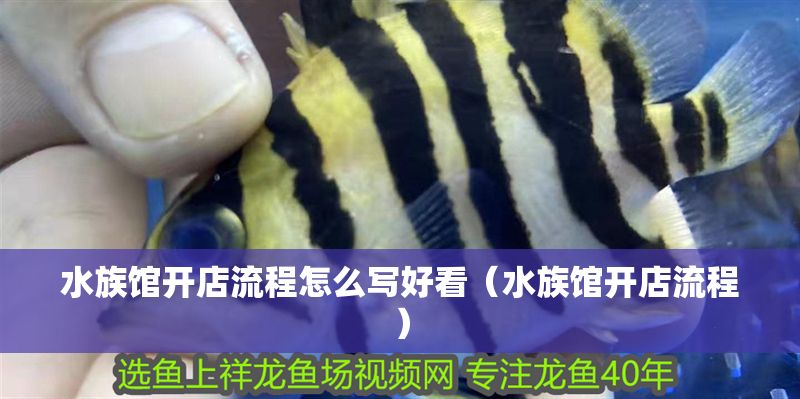 水族館開店流程怎么寫好看（水族館開店流程）