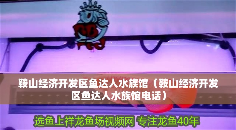 鞍山經(jīng)濟(jì)開發(fā)區(qū)魚達(dá)人水族館（鞍山經(jīng)濟(jì)開發(fā)區(qū)魚達(dá)人水族館電話）