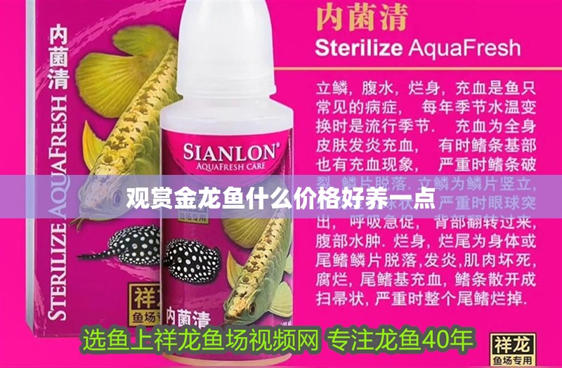 觀賞金龍魚什么價格好養一點