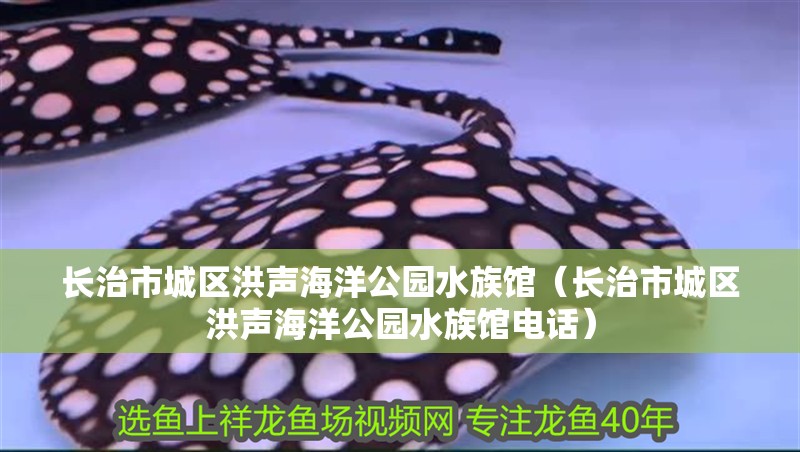 長治市城區洪聲海洋公園水族館（長治市城區洪聲海洋公園水族館電話）