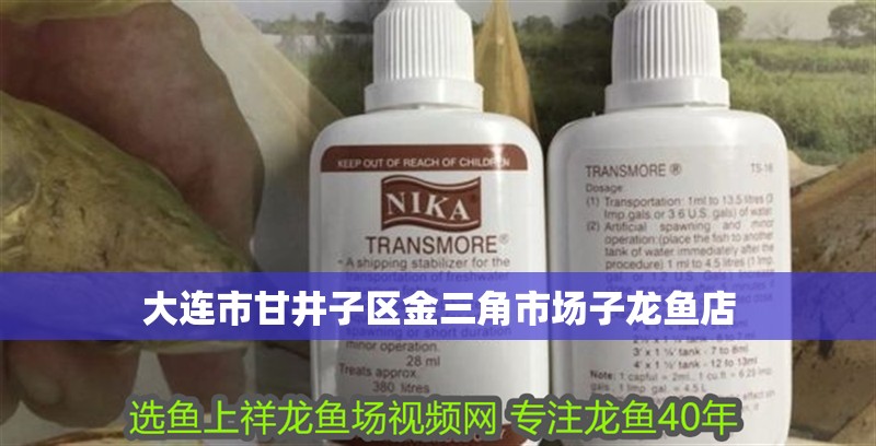 大連市甘井子區金三角市場子龍魚店