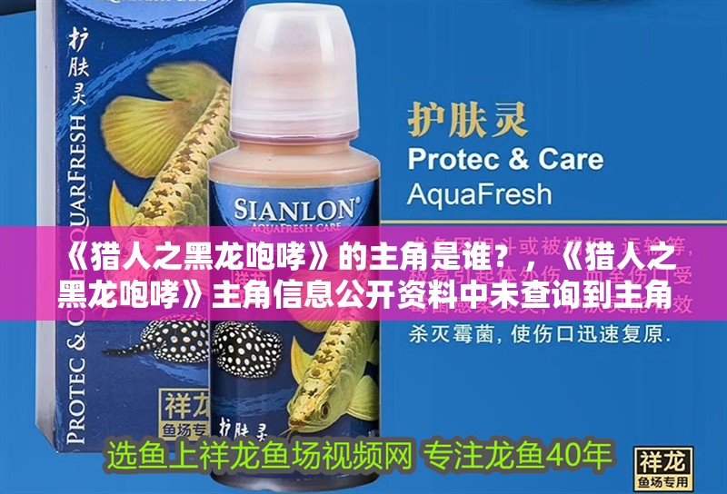 《獵人之黑龍咆哮》的主角是誰？，《獵人之黑龍咆哮》主角信息公開資料中未查詢到主角信息