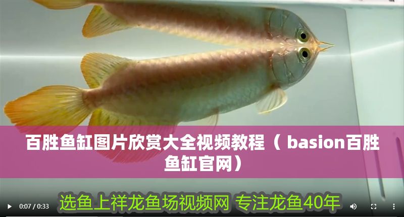 百勝魚(yú)缸圖片欣賞大全視頻教程（ basion百勝魚(yú)缸官網(wǎng)）