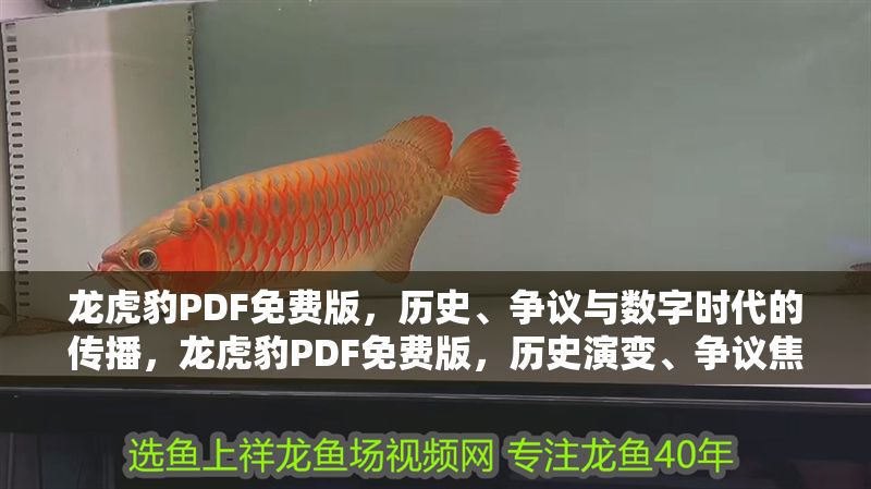 龍虎豹PDF免費版，歷史、爭議與數字時代的傳播，龍虎豹PDF免費版，歷史演變、爭議焦點與數字時代的傳播影響