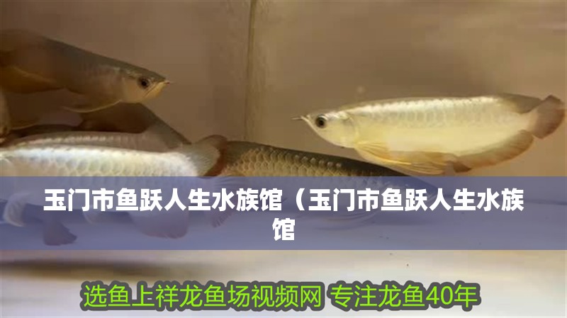 玉門市魚躍人生水族館（玉門市魚躍人生水族館 玉門市魚躍人生水族館（玉門市魚躍人生水族館 全國水族館企業名錄 第2張
