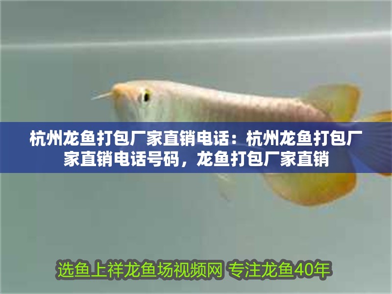 杭州龍魚打包廠家直銷電話：杭州龍魚打包廠家直銷電話號碼，龍魚打包廠家直銷