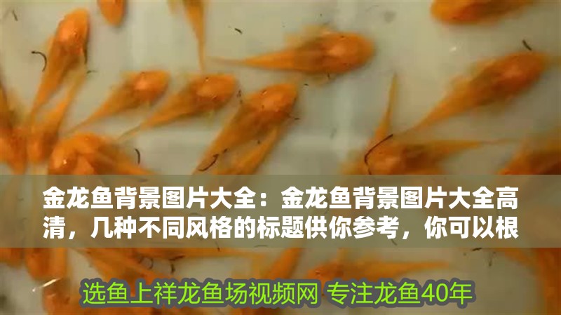 金龍魚背景圖片大全：金龍魚背景圖片大全高清，幾種不同風格的標題供你參考，你可以根據具體需求進行選擇，，實用直白風，金龍魚高清背景圖片全收錄，文藝吸睛風，邂逅絕美！金龍魚高清背景圖集錦，強調品質風，超清呈現｜金龍魚背景圖片