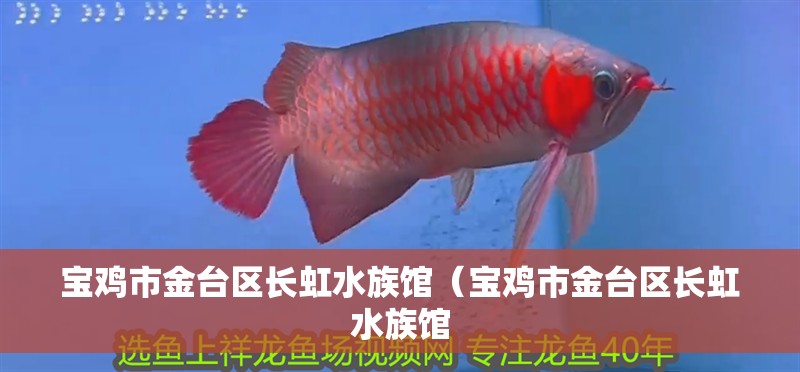 寶雞市金臺區(qū)長虹水族館（寶雞市金臺區(qū)長虹水族館