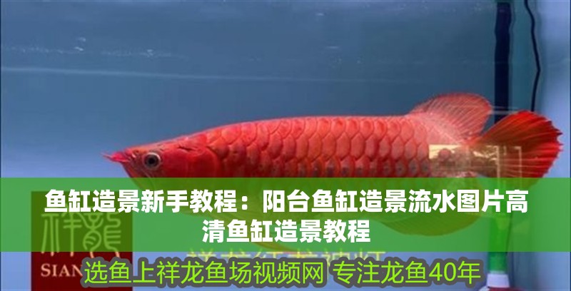 魚缸造景新手教程：陽臺魚缸造景流水圖片高清魚缸造景教程