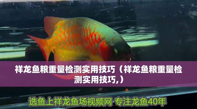 祥龍魚糧重量檢測實用技巧（祥龍魚糧重量檢測實用技巧,）